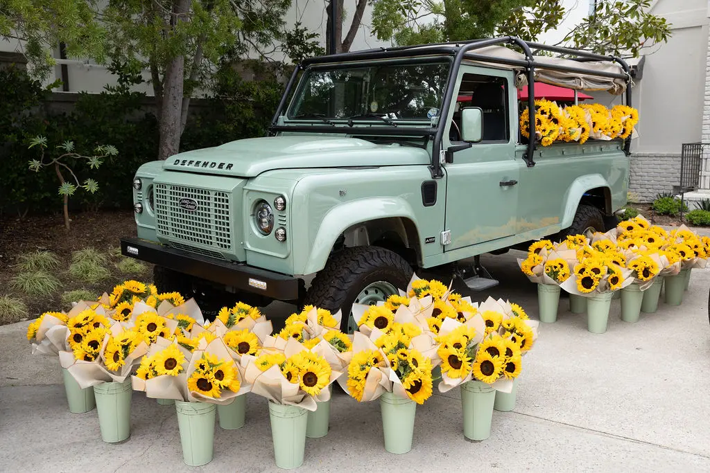 Desi Safari at a Private Residence